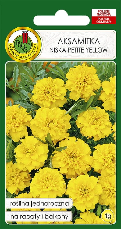 AKSAMITKA PEŁNA NISKA PETTI YELLOW (1G)