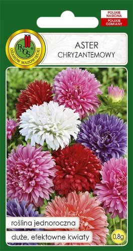 ASTER CHRYZANTEMOWY MIESZANKA (0,8G)