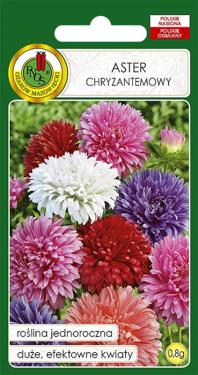 ASTER CHRYZANTEMOWY MIESZANKA (0,8G)