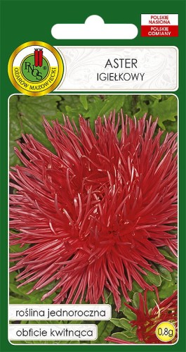 ASTER IGIEŁKOWY CZERWONY (0,8G)