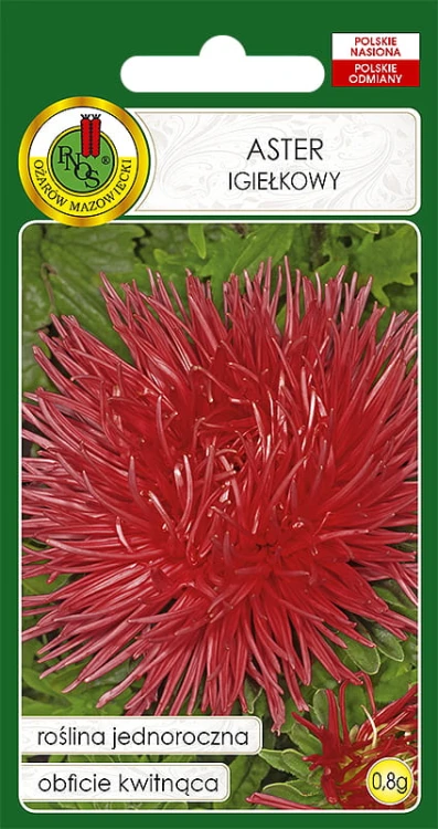 ASTER IGIEŁKOWY CZERWONY (0,8G)