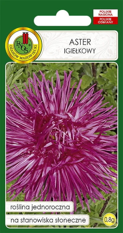 ASTER IGIEŁKOWY WIŚNIOWOWRZOSOWY  (0,8G)