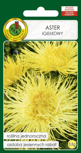 ASTER IGIEŁKOWY ŻÓŁTY (0,8G)