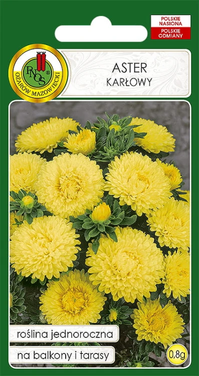 ASTER KARŁOWY ŻÓŁTY (0,8G)