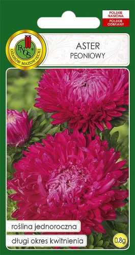 ASTER PEONIOWY RÓŻOWY (0,8G)