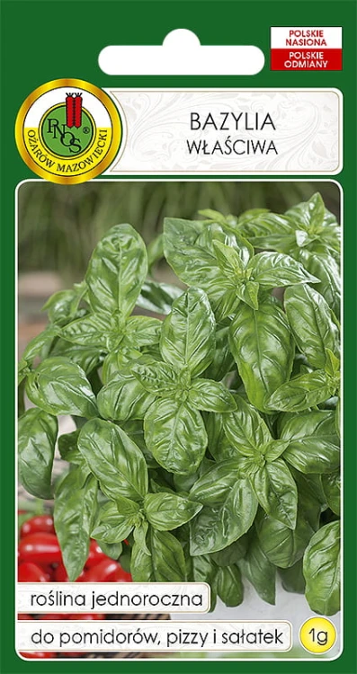 BAZYLIA ZIELONA GENOVESE (1G)