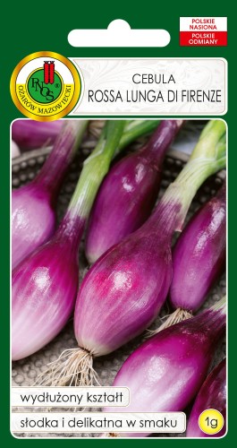 CEBULA ROSSA LUNGA  (1G)