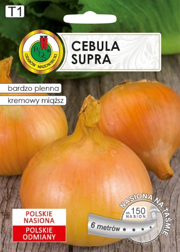 CEBULA SUPRA TAŚMIE (6M)