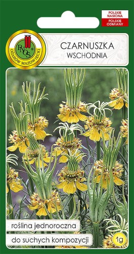 CZARNUSZKA WSCHODNIA (1G)