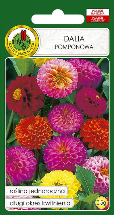 DALIA POMPONOWA MIESZANKA (0,5G)