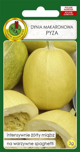DYNIA MAKARONOWA PYZA (3G)