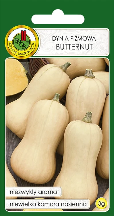 DYNIA PIŻMOWA BUTTERNUT (3G)
