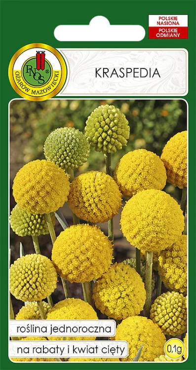 KRASPEDIA ŻÓŁTA (0,1G)