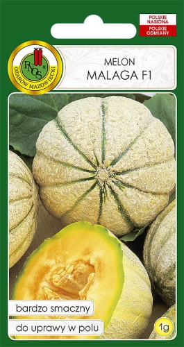 MELON MALAGA (1G)