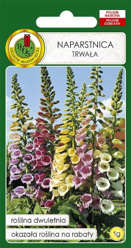 NAPARSTNICA TRWAŁA GLOXINIAEFLORA MIX (1G)