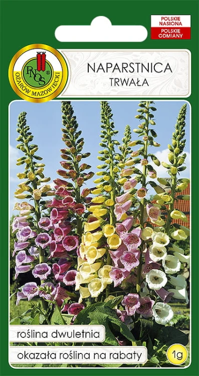 NAPARSTNICA TRWAŁA GLOXINIAEFLORA MIX (1G)