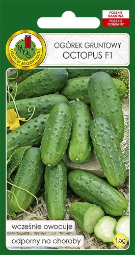 OGÓREK OCTOPUS F1 (1,5G)
