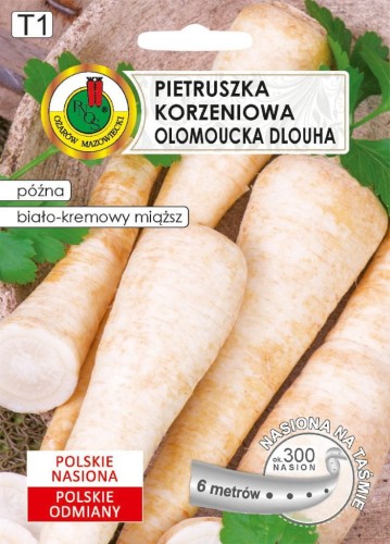 PIETRUSZKA OLOMOUCKA DLOUHA NA TAŚMIE (6M)