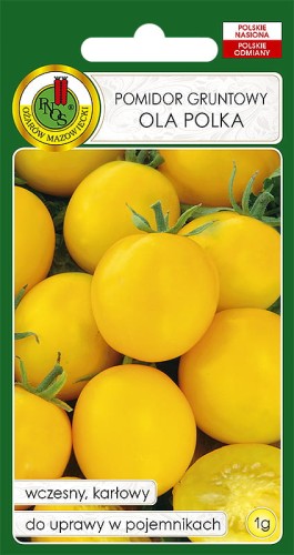 POMIDOR OLA POLKA (1G)