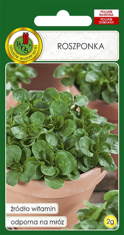 ROSZPONKA VOLHART (2G)