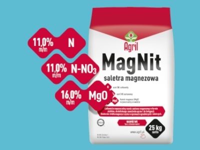 MAGNIT - SALETRA MAGNEZOWA PŁATKOWANA 25KG