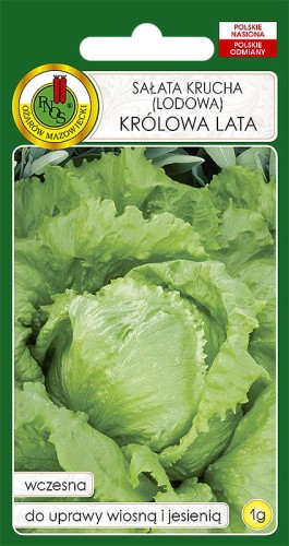 SAŁATA KRÓLOWA LATA  (1G)
