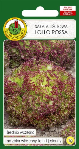 SAŁATA LOLLO ROSSA (1G)
