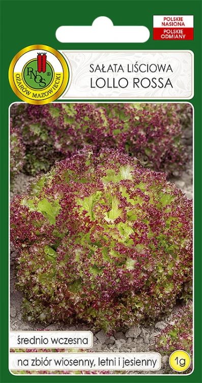 SAŁATA LOLLO ROSSA (1G)