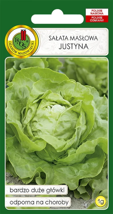 SAŁATA MASŁOWA JUSTYNA (1G)
