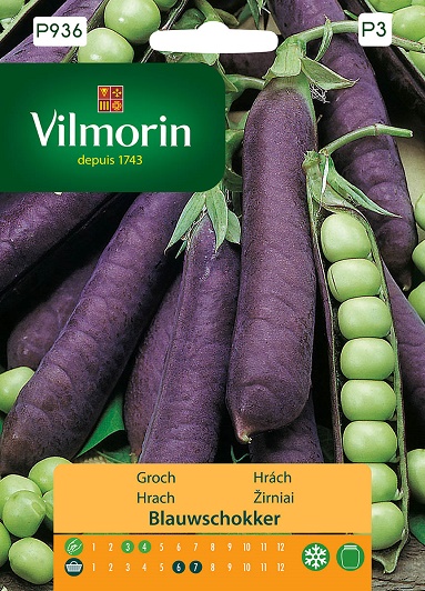 GROCH BLAUWSCHOKKER 20G
