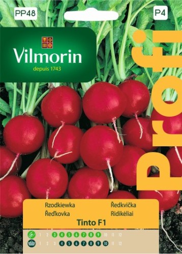 RZODKIEWKA OKRĄGŁA TINTO F1 5G