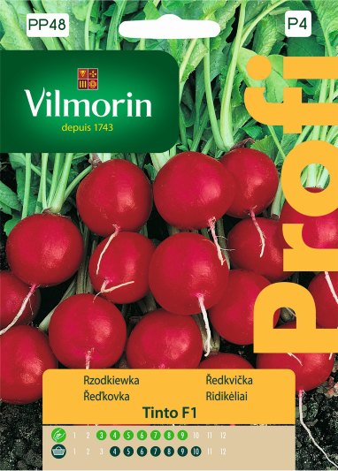 RZODKIEWKA OKRĄGŁA TINTO F1 5G