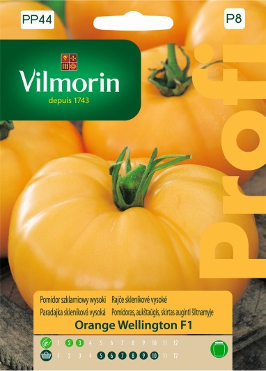 POMIDOR ORANGE WELLINGTON F1 15 nasion