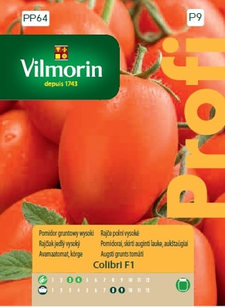 POMIDOR ŚLIWKOWY COLIBRI F1 8 nasion 