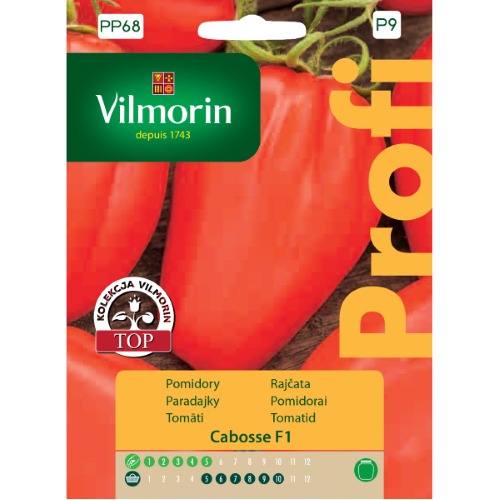 POMIDOR CABOSSE F1 6 nasion 