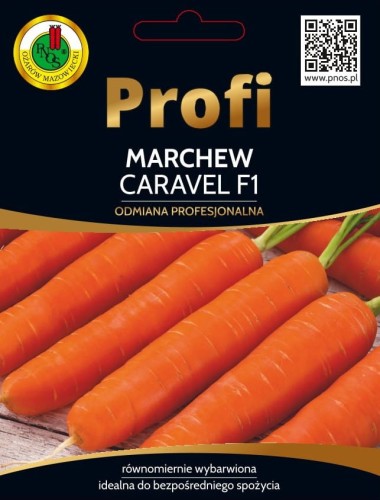 MARCHEW CARAVEL (2G)