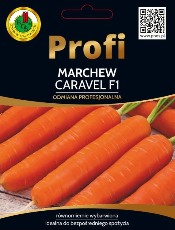 MARCHEW CARAVEL (2G)