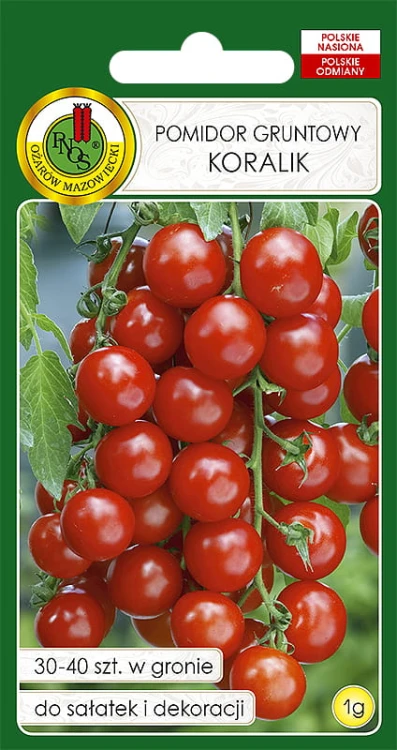 POMIDOR KORALIK (1G)
