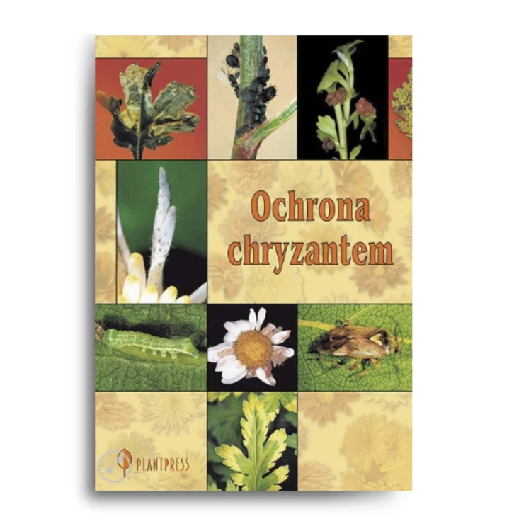KSIĄŻKA: OCHRONA CHRYZANTEM