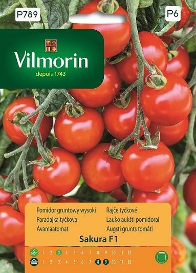 POMIDOR KOKTAJLOWY SAKURA F1 9 nasion