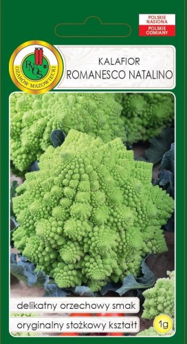 KALAFIOR ROMANESCO NATALINO (1G)