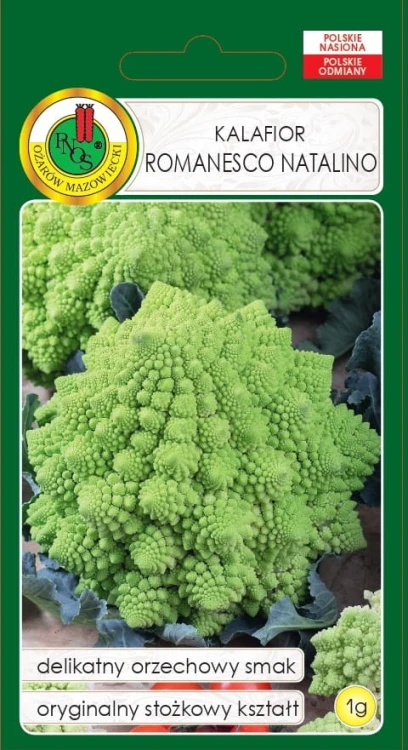 KALAFIOR ROMANESCO NATALINO (1G)