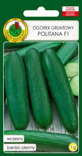 OGÓREK POLITANA (1G)