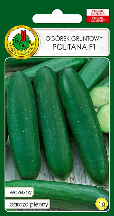 OGÓREK POLITANA (1G)