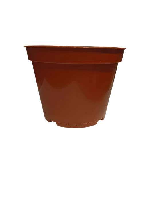 DONICZKA 11 AN 0,5L TERAKOTA