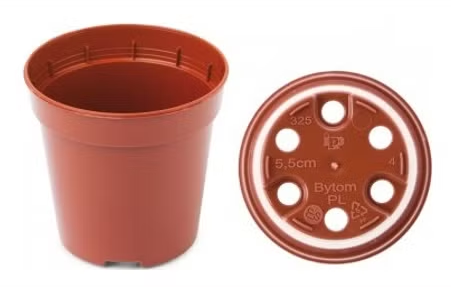 DONICZKA SB 5,5CM TERAKOTA