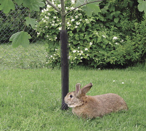 OSŁONKA NA DRZEWKA (1,1m) CZARNA  8szt