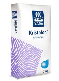 KRISTALON FIOLETOWY19+6+6 25KG