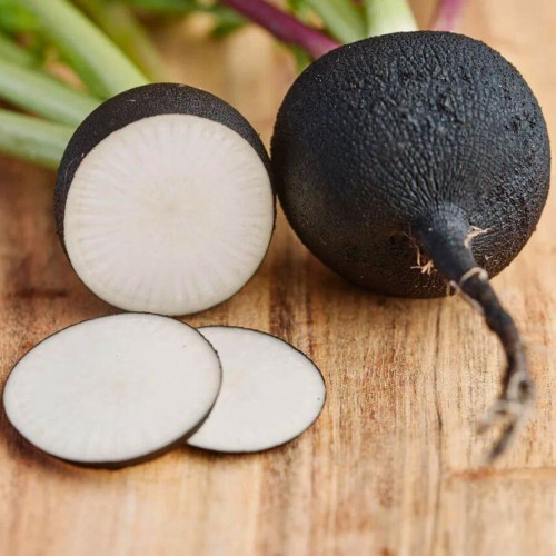 RZODKIEW MURZYNKA 100G