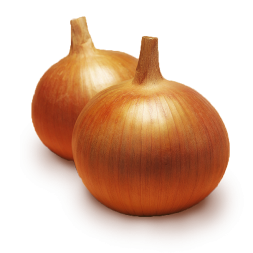 CEBULA BONUS 250T 